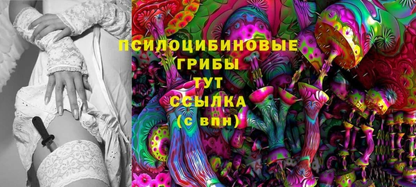 таблы Белокуриха