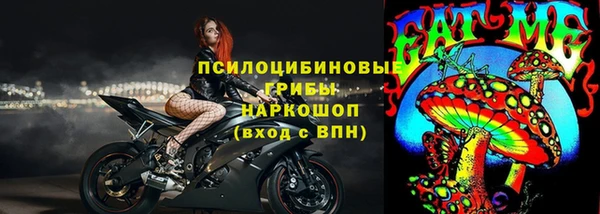 таблы Белокуриха