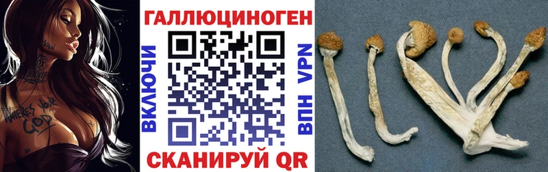 Псилоцибиновые грибы ЛСД  Афипский 